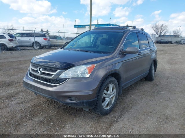 Aukcja sprzedaży 2010 Honda Cr-v Exl, vin: 5J6RE4H74AL820769, numer aukcji: 12600565