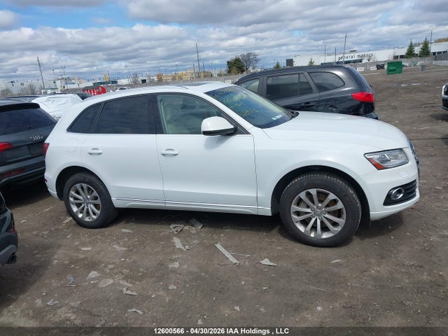 Продаж на аукціоні авто 2014 Audi Q5 Tdi/premium Plus, vin: WA1LMCFP7EA043446, номер лоту: 12600566
