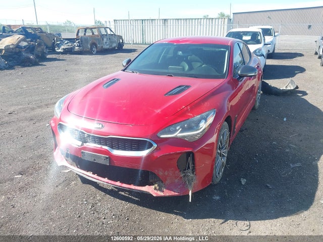2019 Kia Stinger Gt-line მანქანა იყიდება აუქციონზე, vin: KNAE25LA1K6047388, აუქციონის ნომერი: 12600592
