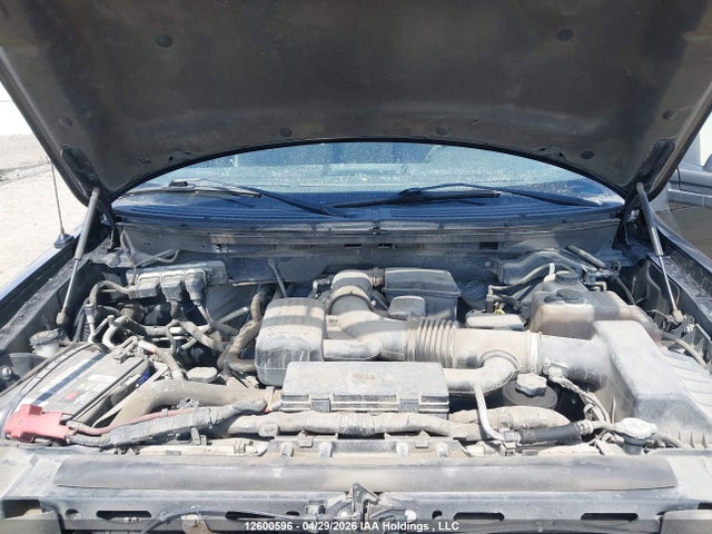 12600596 :رقم المزاد ، 1FTFW1EV4AFA38591 vin ، 2009 Ford F-150 مزاد بيع