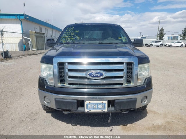 12600596 :رقم المزاد ، 1FTFW1EV4AFA38591 vin ، 2009 Ford F-150 مزاد بيع