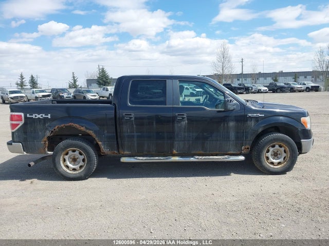 12600596 :رقم المزاد ، 1FTFW1EV4AFA38591 vin ، 2009 Ford F-150 مزاد بيع