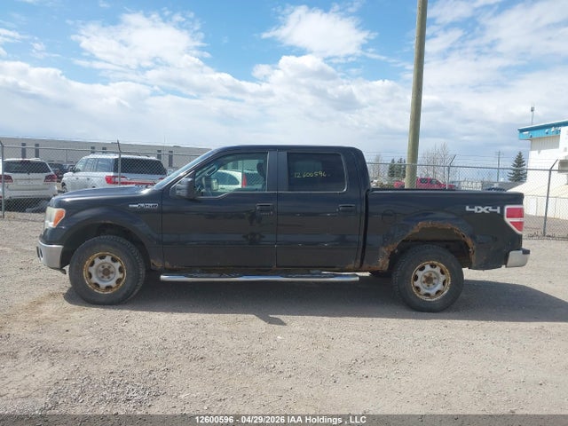 12600596 :رقم المزاد ، 1FTFW1EV4AFA38591 vin ، 2009 Ford F-150 مزاد بيع