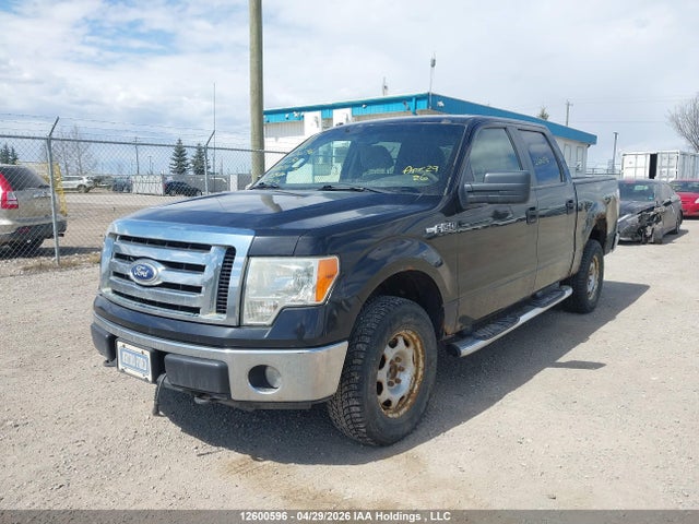 12600596 :رقم المزاد ، 1FTFW1EV4AFA38591 vin ، 2009 Ford F-150 مزاد بيع