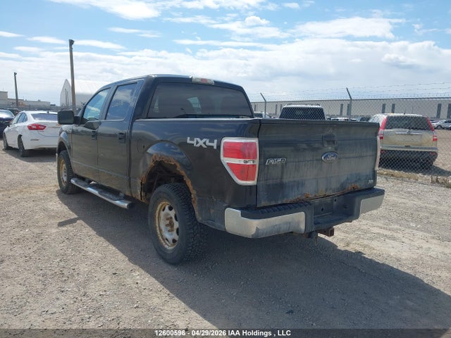 12600596 :رقم المزاد ، 1FTFW1EV4AFA38591 vin ، 2009 Ford F-150 مزاد بيع