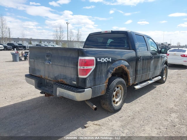12600596 :رقم المزاد ، 1FTFW1EV4AFA38591 vin ، 2009 Ford F-150 مزاد بيع