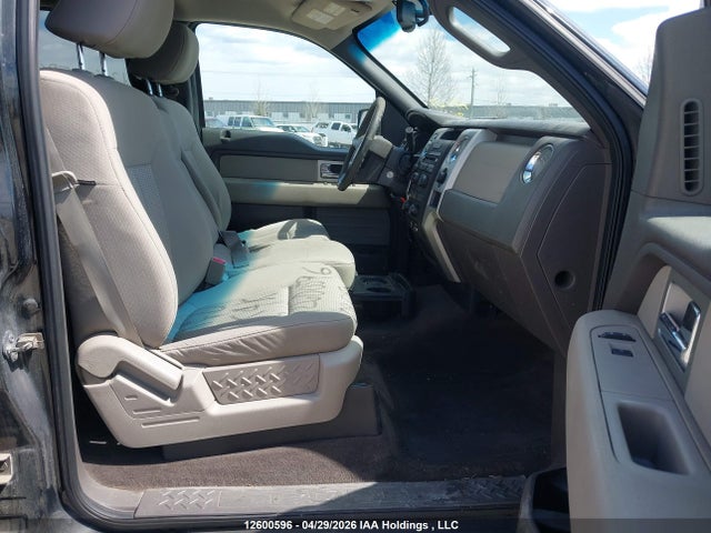 12600596 :رقم المزاد ، 1FTFW1EV4AFA38591 vin ، 2009 Ford F-150 مزاد بيع