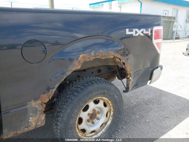 12600596 :رقم المزاد ، 1FTFW1EV4AFA38591 vin ، 2009 Ford F-150 مزاد بيع