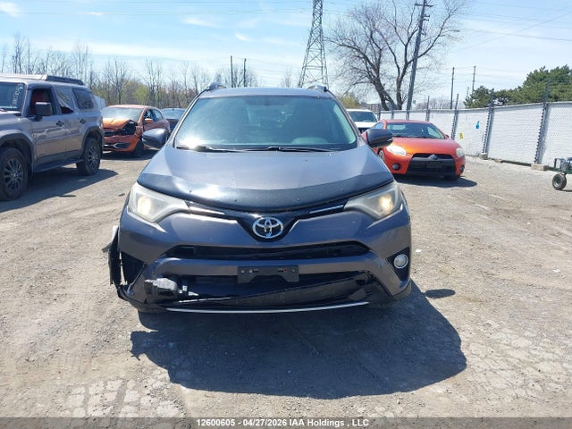 Aukcja sprzedaży 2016 Toyota Rav4 Xle, vin: 2T3WFREV9GW244883, numer aukcji: 12600605