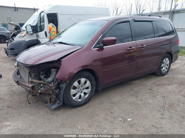 Продаж на аукціоні авто 2010 Honda Odyssey Se, vin: 5FNRL3H51AB501837, номер лоту: 12600608