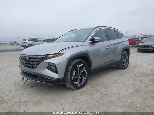 KM8JCCD11RU143492 Hyundai Tucson Luxury Awd