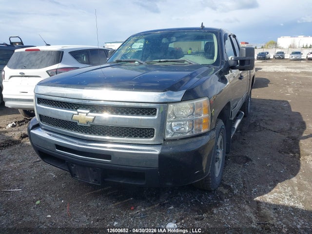 2010 Chevrolet Silverado 1500 Ls მანქანა იყიდება აუქციონზე, vin: 1GCSCREA7AZ185764, აუქციონის ნომერი: 12600652