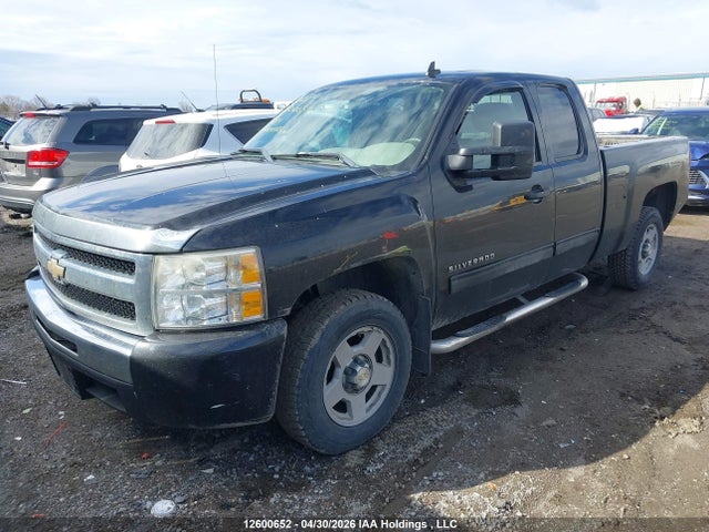 2010 Chevrolet Silverado 1500 Ls მანქანა იყიდება აუქციონზე, vin: 1GCSCREA7AZ185764, აუქციონის ნომერი: 12600652