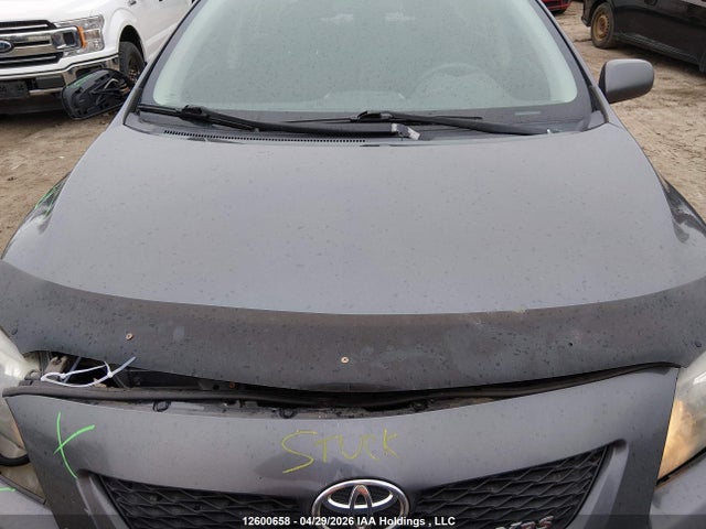 2009 Toyota Corolla Xrs Xrs მანქანა იყიდება აუქციონზე, vin: 2T1BE40E89C024546, აუქციონის ნომერი: 12600658