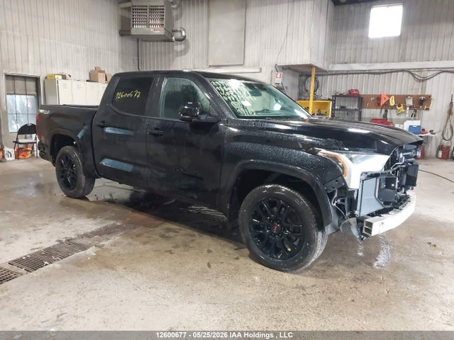2023 Toyota Tundra Crewmax Sr/crewmax Sr5 მანქანა იყიდება აუქციონზე, vin: 5TFLA5DB0PX059568, აუქციონის ნომერი: 12600677