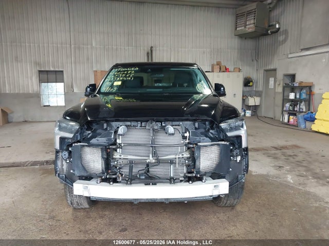 2023 Toyota Tundra Crewmax Sr/crewmax Sr5 მანქანა იყიდება აუქციონზე, vin: 5TFLA5DB0PX059568, აუქციონის ნომერი: 12600677