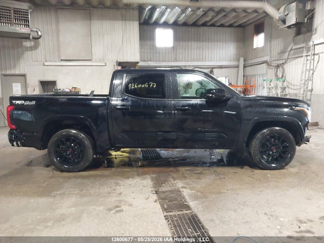 2023 Toyota Tundra Crewmax Sr/crewmax Sr5 მანქანა იყიდება აუქციონზე, vin: 5TFLA5DB0PX059568, აუქციონის ნომერი: 12600677