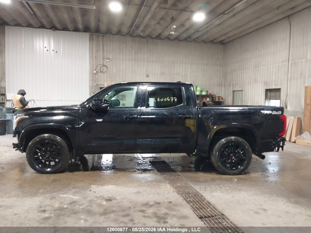 2023 Toyota Tundra Crewmax Sr/crewmax Sr5 მანქანა იყიდება აუქციონზე, vin: 5TFLA5DB0PX059568, აუქციონის ნომერი: 12600677