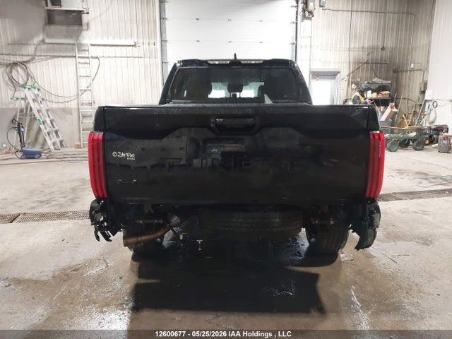 2023 Toyota Tundra Crewmax Sr/crewmax Sr5 მანქანა იყიდება აუქციონზე, vin: 5TFLA5DB0PX059568, აუქციონის ნომერი: 12600677