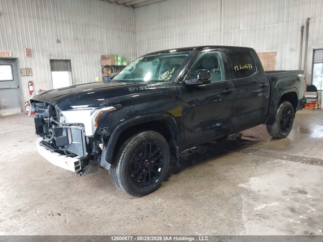 2023 Toyota Tundra Crewmax Sr/crewmax Sr5 მანქანა იყიდება აუქციონზე, vin: 5TFLA5DB0PX059568, აუქციონის ნომერი: 12600677