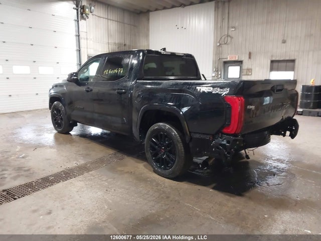 2023 Toyota Tundra Crewmax Sr/crewmax Sr5 მანქანა იყიდება აუქციონზე, vin: 5TFLA5DB0PX059568, აუქციონის ნომერი: 12600677