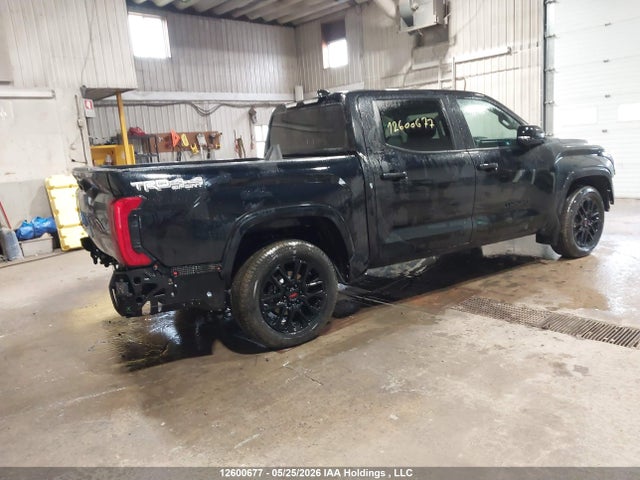2023 Toyota Tundra Crewmax Sr/crewmax Sr5 მანქანა იყიდება აუქციონზე, vin: 5TFLA5DB0PX059568, აუქციონის ნომერი: 12600677