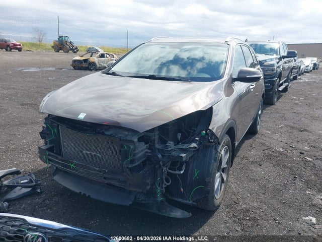 12600682 :رقم المزاد ، 5XYPHDA56KG601600 vin ، 2019 Kia Sorento 3.3l Ex/3.3l Ex+ مزاد بيع