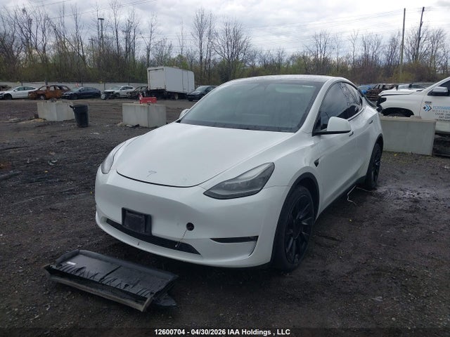 7SAYGDEE5PF699103 Tesla Model Y