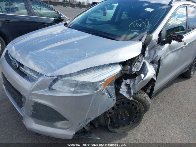 Aukcja sprzedaży 2014 Ford Escape, vin: 1FMCU0G95EUC87093, numer aukcji: 12600857