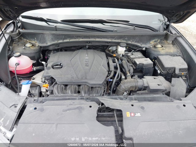 Auction sale of the 2025 Hyundai Tucson Sel, vin: 5NMJBCDE6SH553910, lot number: 12600873