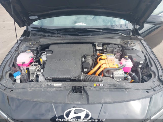 KMHLN4DJ3TU182441 Hyundai Elantra Limited