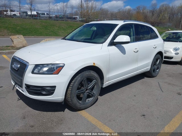 12600950 :رقم المزاد ، WA1LFCFP2CA081898 vin ، 2012 Audi Q5 Premium Plus مزاد بيع