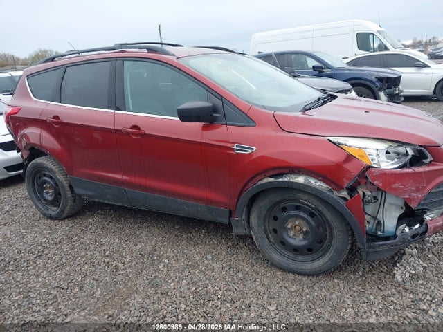 Продажа на аукционе авто 2014 Ford Escape Se, vin: 1FMCU0GX5EUC88601, номер лота: 12600989