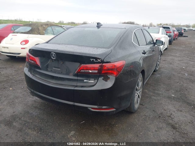 12601052 :رقم المزاد ، 19UUB3F54FA803477 vin ، 2015 Acura Tlx مزاد بيع