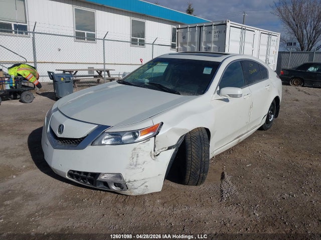 2011 Acura Tl მანქანა იყიდება აუქციონზე, vin: 19UUA9F2XBA800153, აუქციონის ნომერი: 12601098