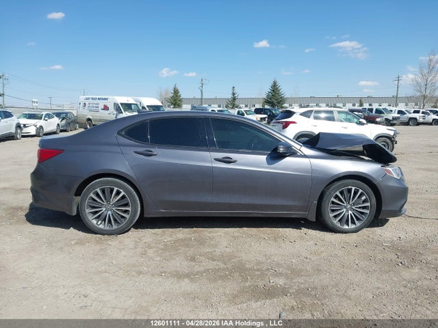 2018 Acura Tlx Tech მანქანა იყიდება აუქციონზე, vin: 19UUB3F51JA801114, აუქციონის ნომერი: 12601111