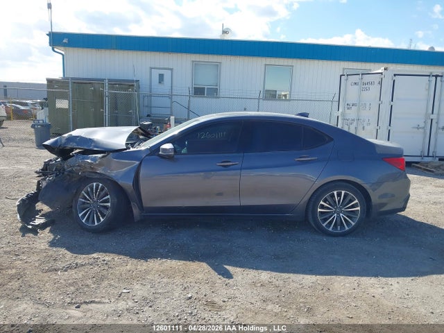 2018 Acura Tlx Tech მანქანა იყიდება აუქციონზე, vin: 19UUB3F51JA801114, აუქციონის ნომერი: 12601111