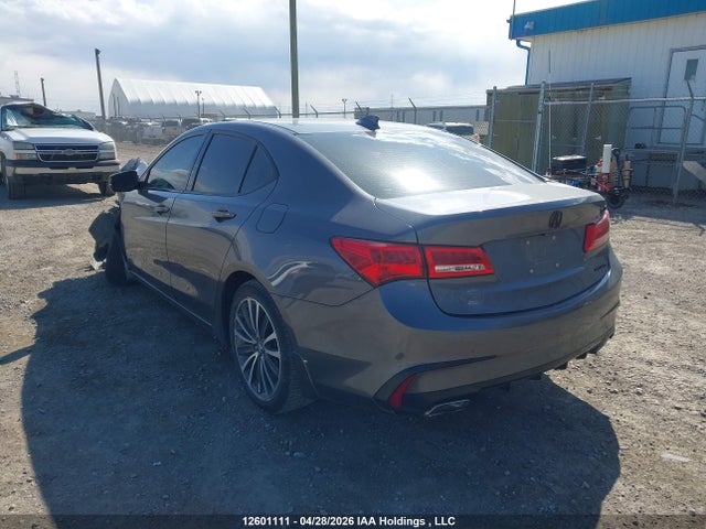 2018 Acura Tlx Tech მანქანა იყიდება აუქციონზე, vin: 19UUB3F51JA801114, აუქციონის ნომერი: 12601111