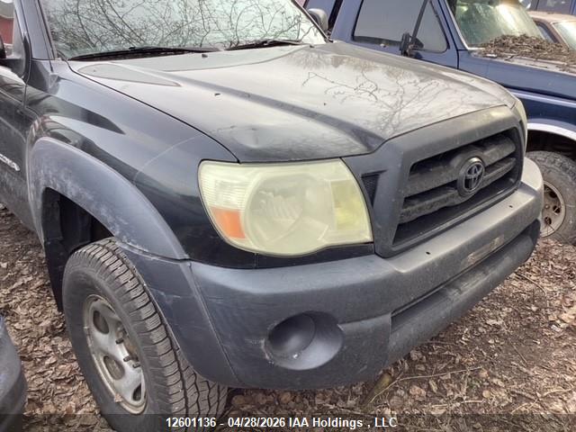 2008 Toyota Tacoma Access Cab მანქანა იყიდება აუქციონზე, vin: 5TEUU42N68Z531026, აუქციონის ნომერი: 12601136