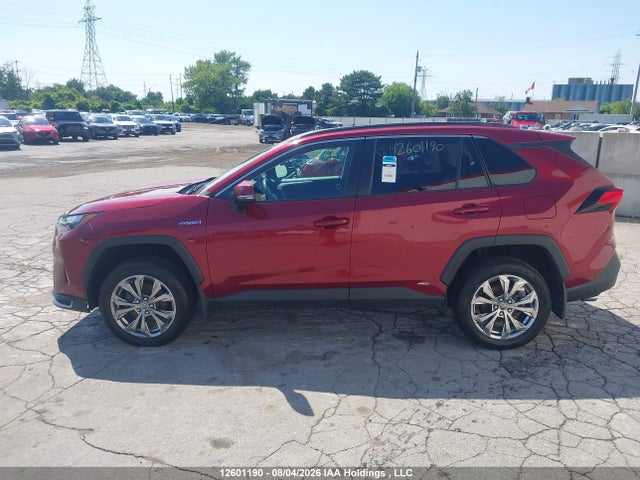 Продажа на аукционе авто 2019 Toyota Rav4 Le, vin: 2T3BWRFV1KW005561, номер лота: 12601190