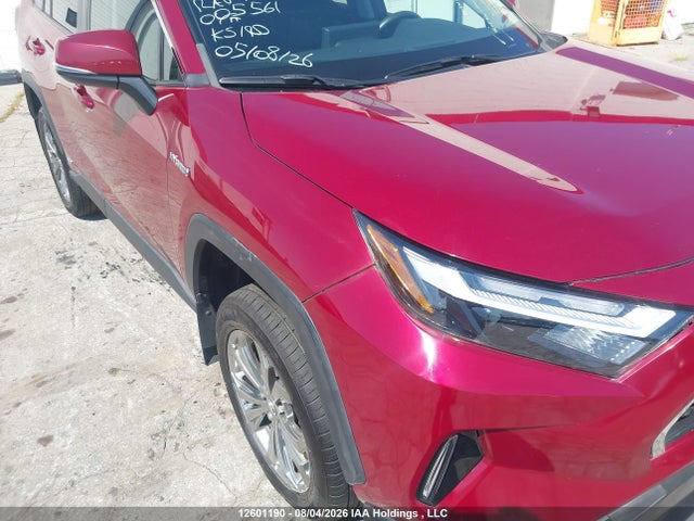 Продажа на аукционе авто 2019 Toyota Rav4 Le, vin: 2T3BWRFV1KW005561, номер лота: 12601190