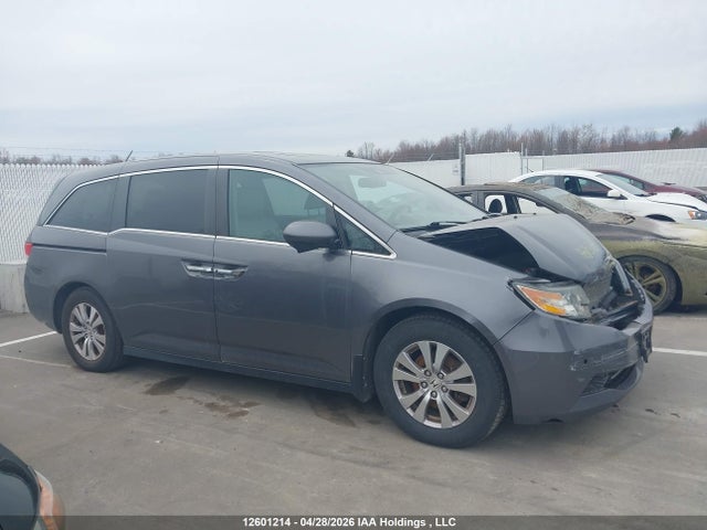 5FNRL5H60FB501937 Honda Odyssey Ex-l