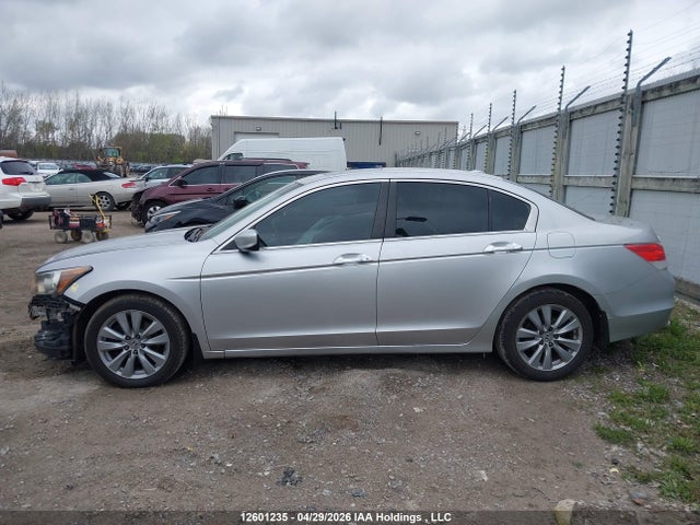 Продаж на аукціоні авто 2011 Honda Accord Ex-l V6, vin: 1HGCP3F81BA800621, номер лоту: 12601235