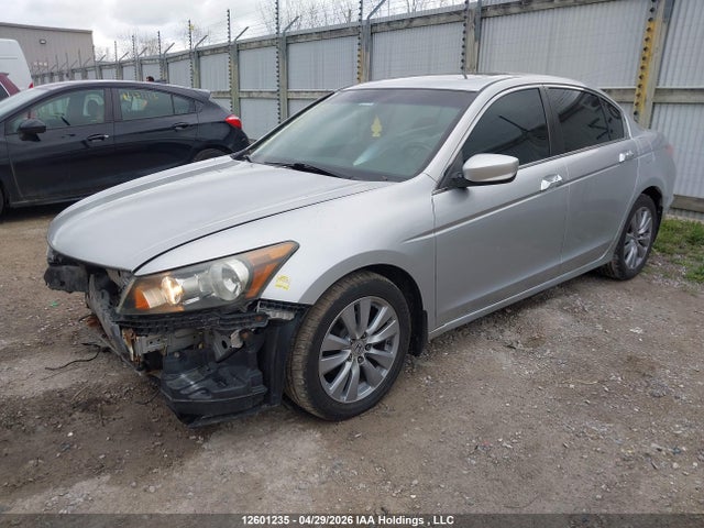Продаж на аукціоні авто 2011 Honda Accord Ex-l V6, vin: 1HGCP3F81BA800621, номер лоту: 12601235