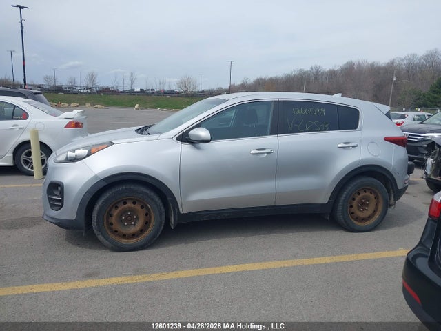 2017 Kia Sportage მანქანა იყიდება აუქციონზე, vin: KNDPM3ACXH7212503, აუქციონის ნომერი: 12601239