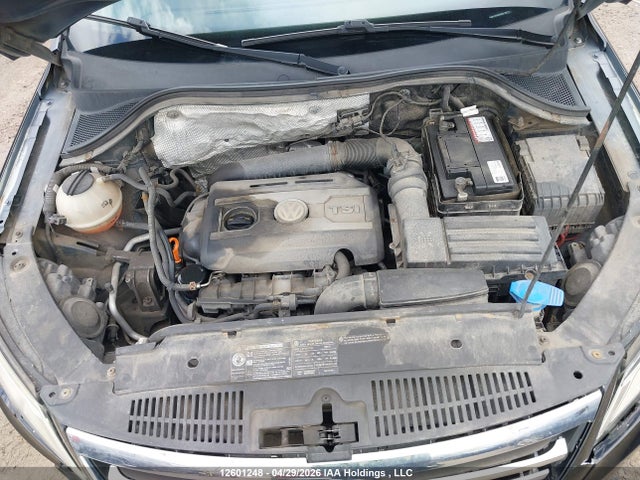 2009 Volkswagen Tiguan Se/sel მანქანა იყიდება აუქციონზე, vin: WVGBV95N89W515871, აუქციონის ნომერი: 12601248