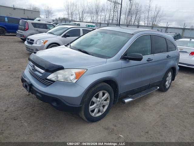 Продаж на аукціоні авто 2009 Honda Cr-v Ex, vin: 5J6RE48549L801438, номер лоту: 12601257