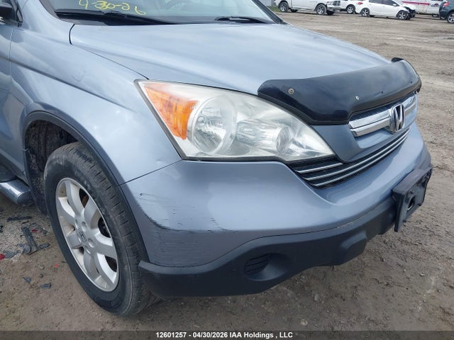 Продаж на аукціоні авто 2009 Honda Cr-v Ex, vin: 5J6RE48549L801438, номер лоту: 12601257