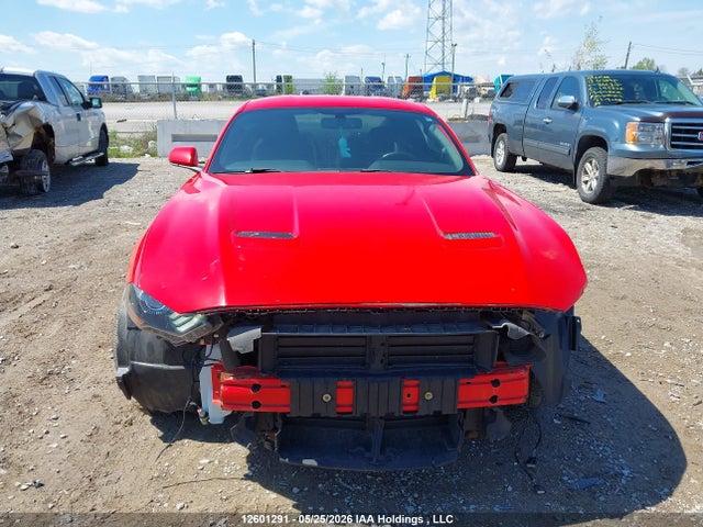 Продаж на аукціоні авто 2019 Ford Mustang Ecoboost, vin: 1FA6P8TH5K5102833, номер лоту: 12601291