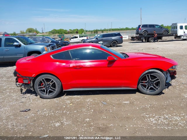 Продаж на аукціоні авто 2019 Ford Mustang Ecoboost, vin: 1FA6P8TH5K5102833, номер лоту: 12601291